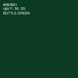 #0B3B21 - Bottle Green Color Image